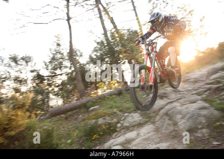 Downhill Mountain Bike Rider au coucher du soleil Banque D'Images