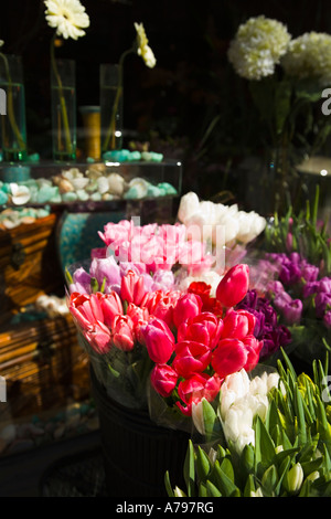 CHICAGO Illinois bouquets de tulipes fleurs de printemps dans des conteneurs à l'extérieur du quartier vieille ville magasin floral Banque D'Images