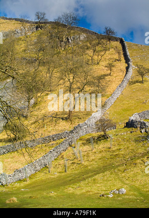 Mur en pierre sèche près de Malham Cove, North Yorkshire, Angleterre, Royaume-Uni. Banque D'Images