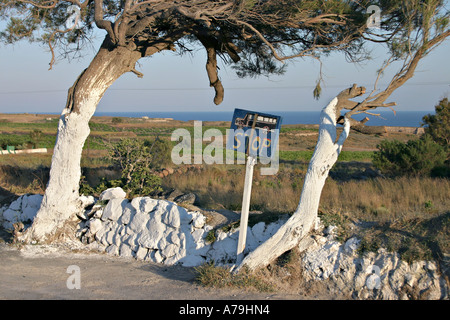 Un arrêt de bus : un signe peint à la main et les troncs des arbres blanchis marquer cet arrêt de bus à l'extrémité sud de Thira Banque D'Images