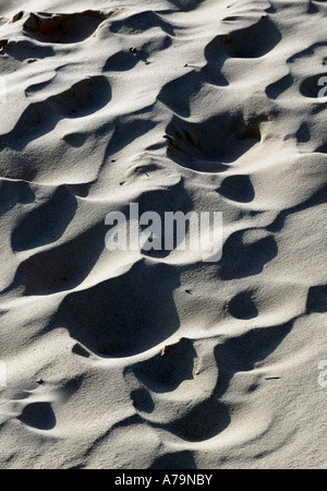 Les empreintes de pas et d'autres formes dans le sable Banque D'Images