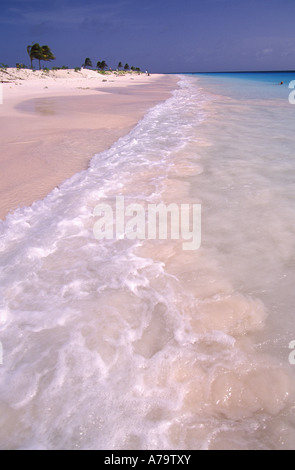 Surf Pristine roule sur plage rose, Bonaire, Antilles néerlandaises Banque D'Images