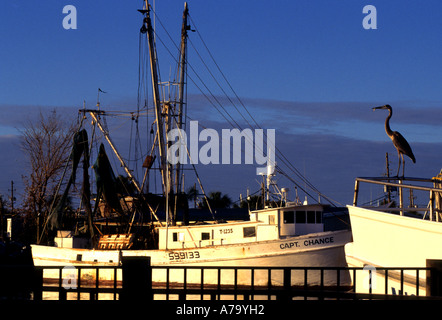 Cedar Key Tarpon Springs Florida United States éponge eponges Banque D'Images