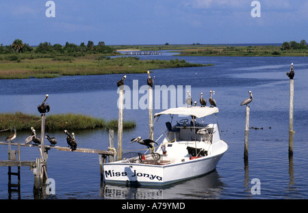 Cedar Key Tarpon Springs Etats-unis Floride port éponges éponges Banque D'Images