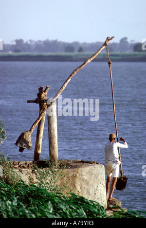 Egypte Nil à quelques kilomètres en amont du Caire. Fermier utilise l'ancienne shaduf de hisser l'eau de la rivière. Banque D'Images