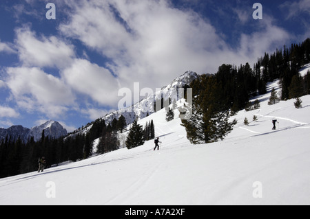 USA Idaho Stanley Celebrations près de Sun Valley Group de l'écorcher dans l'arrière pays pour faire du ski Banque D'Images