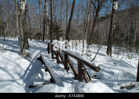 Sentier des Appalaches-une passerelle sur le sentier Beaver Brook, dans le New Hampshire aux États-Unis. Banque D'Images