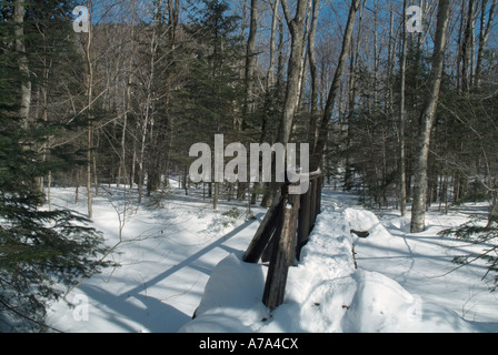 Sentier des Appalaches - Beaver Brook Trail sur le côté nord du mont Moosilauke au New Hampshire Banque D'Images