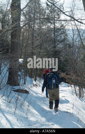 Mount Tom State Reservation. Metacomet Monadnock M M Trail. Situé dans la région de Holyoke Massachusetts USA Banque D'Images