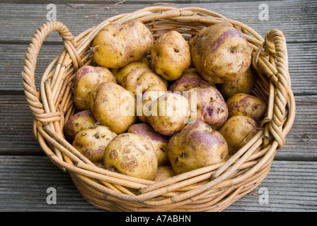 Un panier de pommes de terre de l'œil rose de Tasmanie Banque D'Images