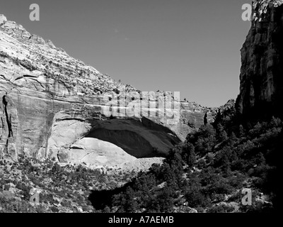 Grande Arche, Zion National Park Banque D'Images