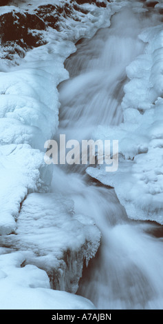 La formation de glace sur les côtés d'un ruisseau au début de l'hiver au Québec Banque D'Images