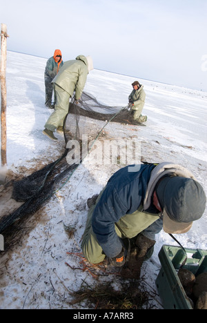 La pêche de l'éperlan dans la glace sur une froide journée d'hiver le gel sur la baie de Miramichi, Nouveau-Brunswick Banque D'Images