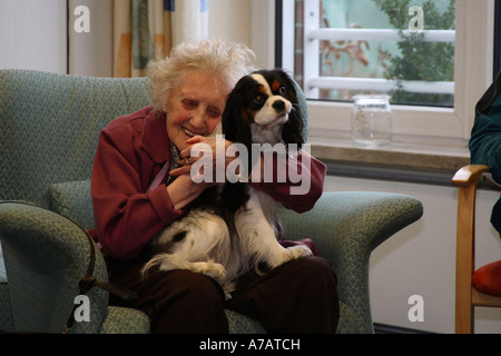 Femme âgée avec Cavalier King Charles Spaniel Banque D'Images