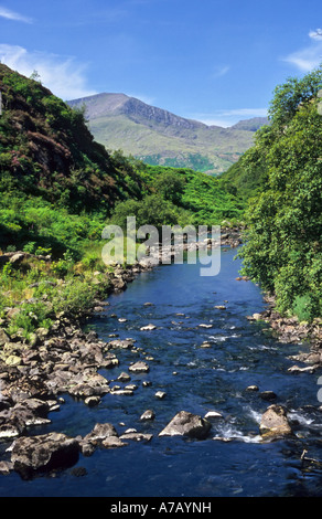 Rivière qui coule à l'ouest du lac de Llyn Dinas de galles Snowdonia National Park de Beddgelert Banque D'Images