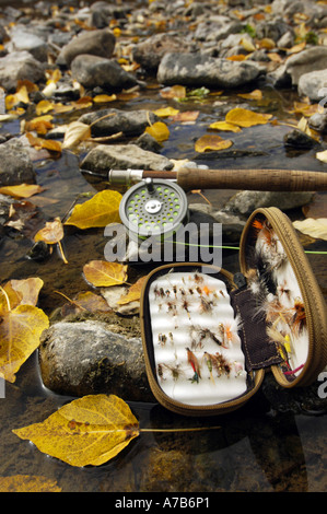 Idaho Mackay Grande Rivière perdue une mouche fort et tige portant sur la rive du fleuve avec des feuilles jaune vif au cours de l'automne Banque D'Images