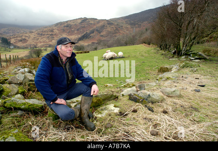 Éleveur donnant sur sa terre et ferme, souffre encore des effets de retombées radioactives dans le Nord du Pays de Galles Snowdonia , Banque D'Images