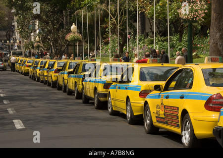Ligne de taxis jaunes garés à la station de taxis dans le centre ville de Funchal Madère Portugal eu Europe Banque D'Images