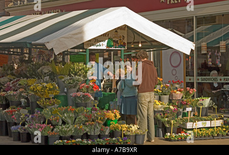 Les gens magasinent au Flower stall Newgate Market York North Yorkshire Angleterre Royaume-Uni Grande-Bretagne Banque D'Images