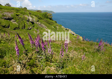 Bouley Bay Banque D'Images