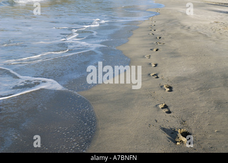 Empreintes sur la plage le matin Banque D'Images