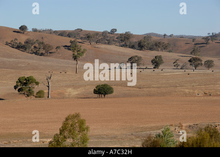 Le sud de la sécheresse Tablelands NSW Australie Banque D'Images