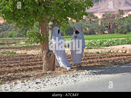 Deux femmes en robes islamique blanc Tenez les mains et parler dans l'ombre d'un arbre Tinerhir vallée, Maroc Banque D'Images