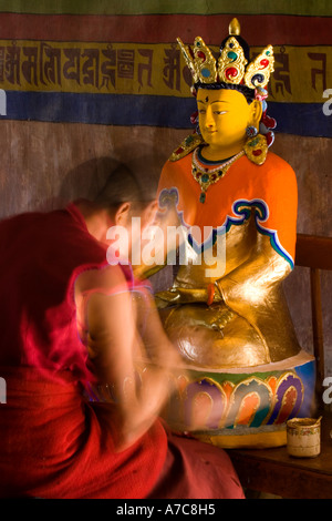 Jeune moine paiting un bouddha à l'intérieur de monastère Thiksey Ladakh Himalaya Indien Banque D'Images