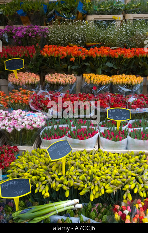 Albert Cuypmarkt , Quartier de De Pijp, Amsterdam, Pays-Bas, Europe Banque D'Images