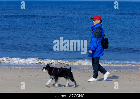 Femme avec Schnauzer nain Banque D'Images