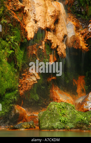 Caldeira Velha park. L'île de São Miguel, Açores, Portugal Banque D'Images