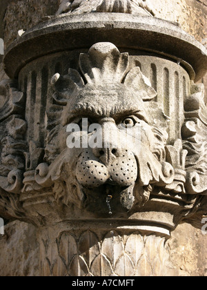 La figure de pierres ornementales sur une fontaine tête de lion dans le vieux Dubrovnik Croatie Europe EU Banque D'Images