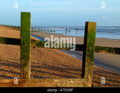 Camber Sands Manche promener le chien Banque D'Images