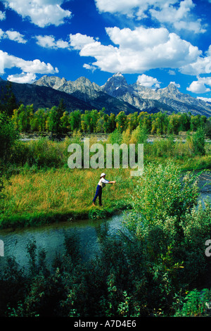 La pêche le long de la rivière Serpent femme ci-dessous Grand Tetons Bretagne France Banque D'Images