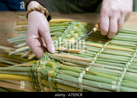 Anna Lewington faire un panier avec des joncs récoltés dans un traditionnel et durable de la rivière Stour, dans le Dorset, Banque D'Images