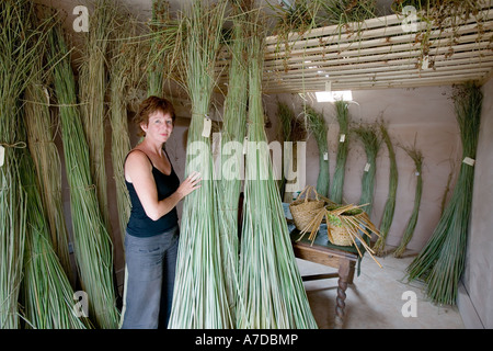 Anna Lewington avec joncs récoltés dans un traditionnel et durable de la rivière Stour, dans le Dorset, Angleterre Banque D'Images