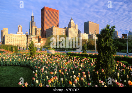 Vue d'horizon de Chicago de Grant Park au printemps Chicago Illinois Banque D'Images