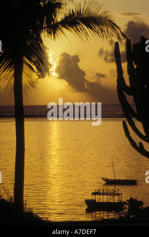 Lever du soleil sur l'océan avec des silhouettes d'arbres cactus, palmiers et bateaux sur la mer, plage de Mombasa, Kenya Du Sud Banque D'Images