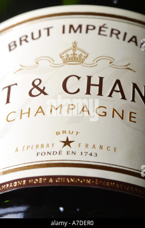 Champagne Moet et Chandon bouteille de champagne Banque D'Images