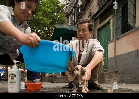 Asie Chine Shanghai Homme donne petit chiot une baignoire sur trottoir dans le quartier de la Vieille Ville Banque D'Images