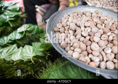 Noix de bétel et de feuilles de bétel à vendre au marché de Dhaka Bangladesh Banque D'Images