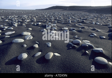 Les pierres de basalte, de lave noire en Islande, île du Sud Banque D'Images