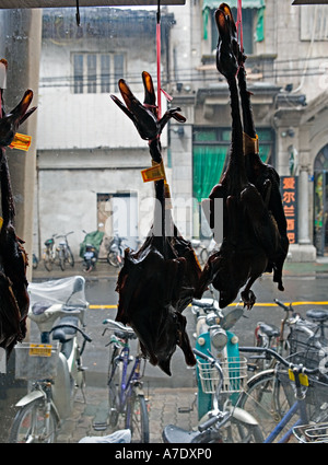 Chine HANGZHOU canards fumé avec têtes et pieds suspendus dans la fenêtre Banque D'Images