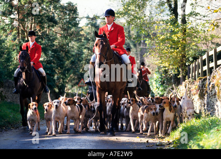 La chasse au renard avec des chiens, vallée de la chasse au Cheval Blanc Banque D'Images