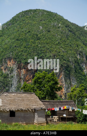 Chambre et d'un mogote hill en vallée de Vinales Cuba Banque D'Images