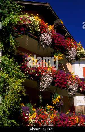 Boîte à fleurs, boîtes à fleurs, flowerbox, flowerboxes, de fleurs en fleurs, village de Zernez, Zernez, Canton des Grisons, Suisse, Europe Banque D'Images