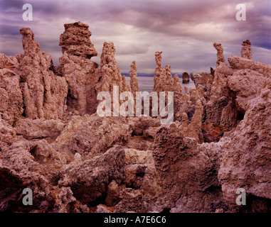 Formations de tuf au lac Mono en Californie USA Banque D'Images