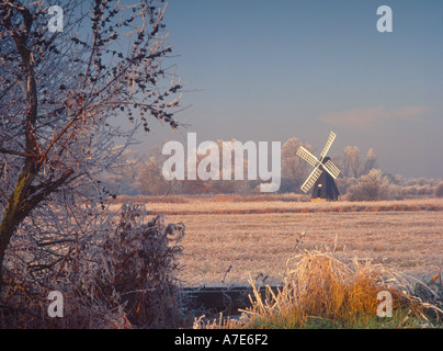 L'hiver à Wicken Fen Wicken Cambridgeshire Fens l'East Anglia Angleterre UK Banque D'Images