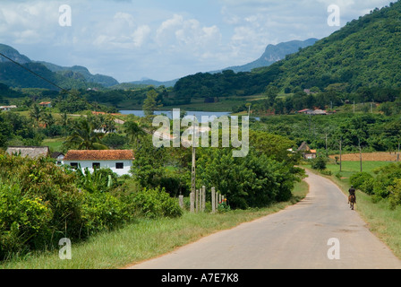 Homme monté sur son cheval le long d'un chemin rural dans la vallée de Vinales, Cuba. Banque D'Images