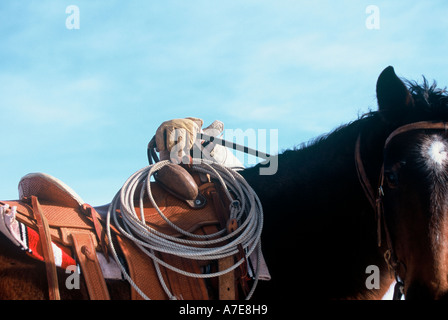 Porter des gants de protection de cow-boy a la main en selle prêt à monter sur son cheval dans un ranch du Dakota du Sud, USA Banque D'Images